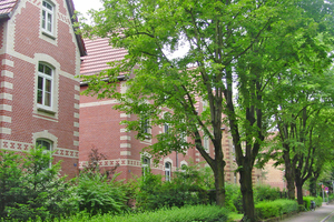  Gesunde, gepflegte Bäume erhöhen die Lebensqualität im urbanen Raum und sind außerdem verkehrssicher. Beim professionellen Baum-Management übernimmt ein Fachbetrieb ganzjährig die nachhaltige, verkehrssichere Baumpflege zu einem Festpreis pro Baum 