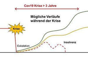  Abbildung 2: Mögliche Verläufe des Unternehmens während der Krisenzeit 