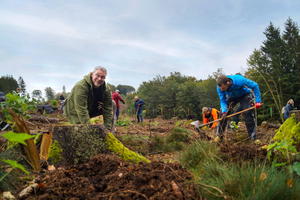  Das Setzen der weiteren 4.500 standortheimischen Bäume hatte das Bergwaldprojekt in Kooperation mit dem Landesbetrieb Wald und Holz Nordrhein-Westfalen und der Stadt Augsburg in den Revieren Neuenrade und Augsburg bereits im Frühjahr 2021 übernommen. Sie tragen dazu bei, rund 13.000 m² Mischwald zu stabilisieren. Bergwaldprojekt e. V. ist ein gemeinnütziger Verein, der sich seit 30 Jahren in Deutschland um den Schutz und den Erhalt unserer heimischen Wälder bemüht  