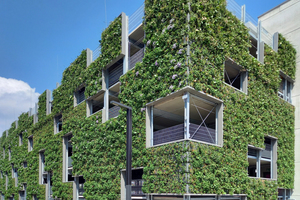  Das Parkhaus im neuen Campus: Ein weiteres Konzept für die Bepflanzung moderner Bürokomplexe ist die Fassadenbegrünung. Dabei werden außen an das Gebäude große Filz-Felder angebracht. So können an der grauen Fassade bunte Blumen und immergrüne Pflanzen vertikal wachsen 
