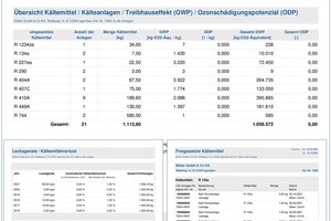  Auswertungen zu Klimabilanzen, Leckageraten und freigesetzten Kältemittelmengen 