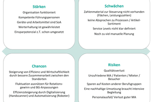  Grafik 4: Erkenntnisse aus der IST-Analyse.  