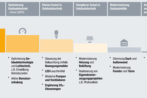  Grafik 1: Energieeffizienz ist ein elementarer Baustein auf dem Weg zur Klimaneutralität. 