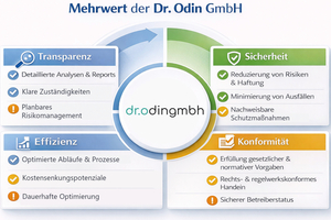  Grafik 4: Die Rolle des Beraters im Audit. 