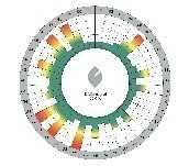  Grafik 5: Bewertungsmatrix (Quelle: DGNB) 