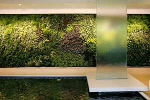  Die „Grünen Wände“ sind mit 2.350 Pflanzen bestückt und insgesamt 47 m² groß, imEingangsbereich/Foyer und Mitarbeiterrestaurant verbessern sie das Raumklima. Und erzielen zugleich Energiespareffekte durch höhere Luftfeuchtigkeit, die den Heizbedarf  senkt 