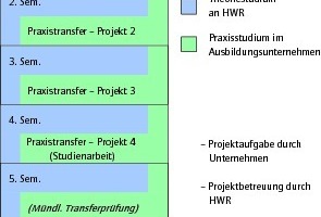  Grafik 1: Theorie- und Praxisphasen im Dualen Studium 